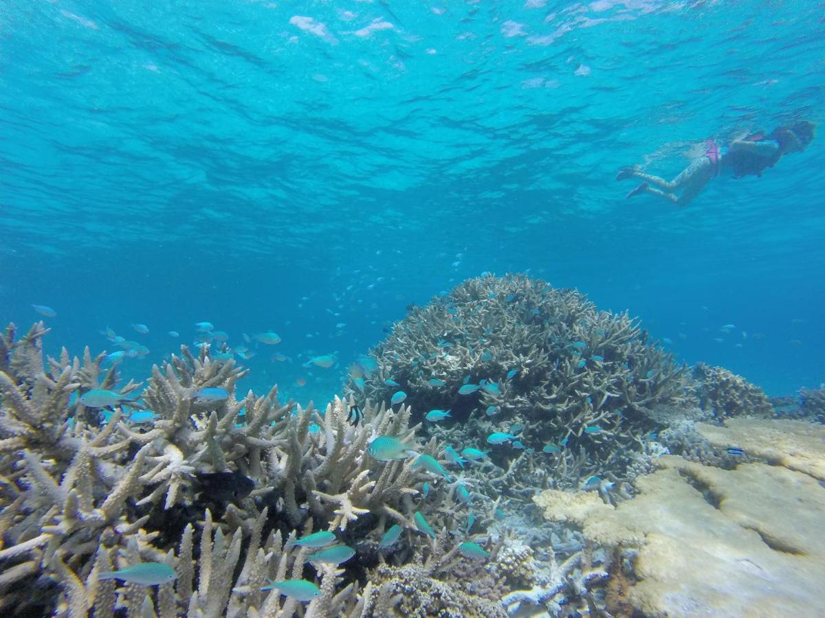 Feridhoo Sevinex Inn מראה חיצוני תמונה