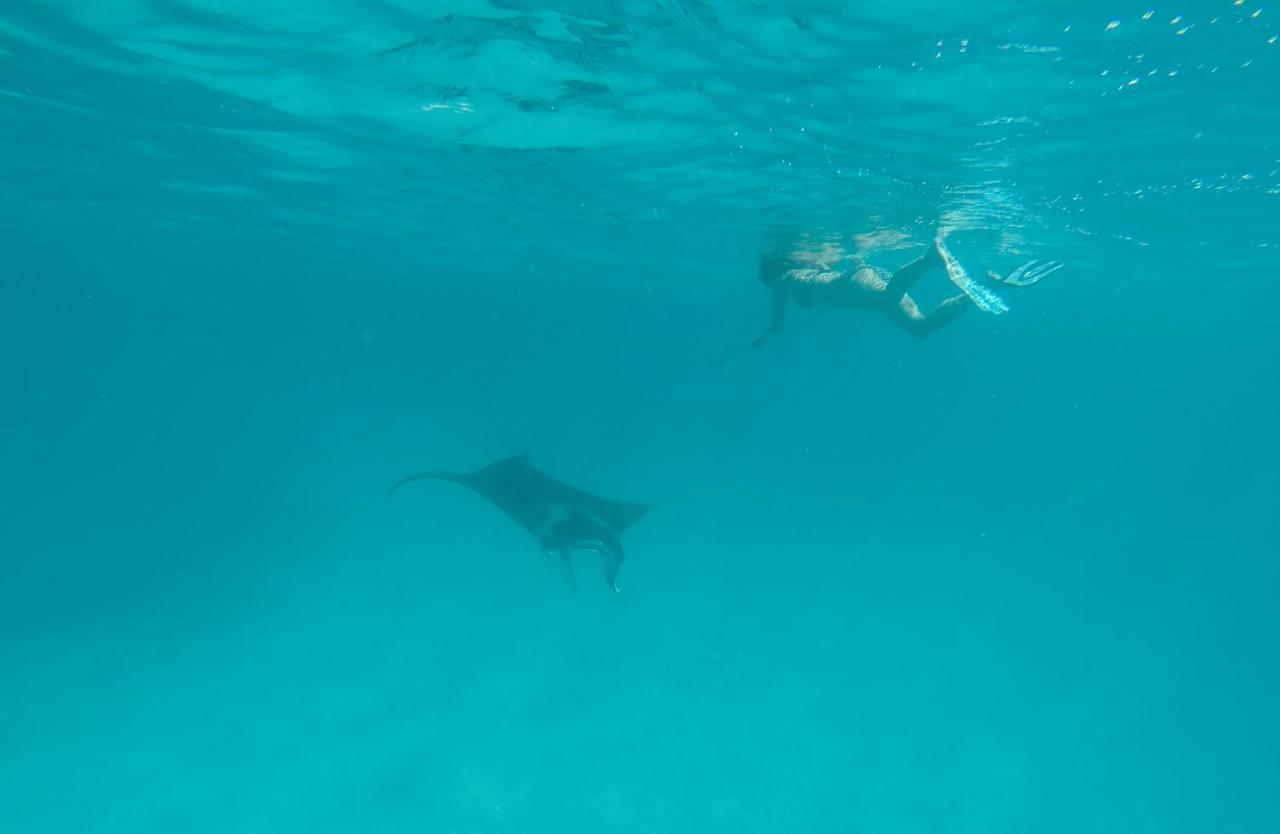 Feridhoo Sevinex Inn מראה חיצוני תמונה