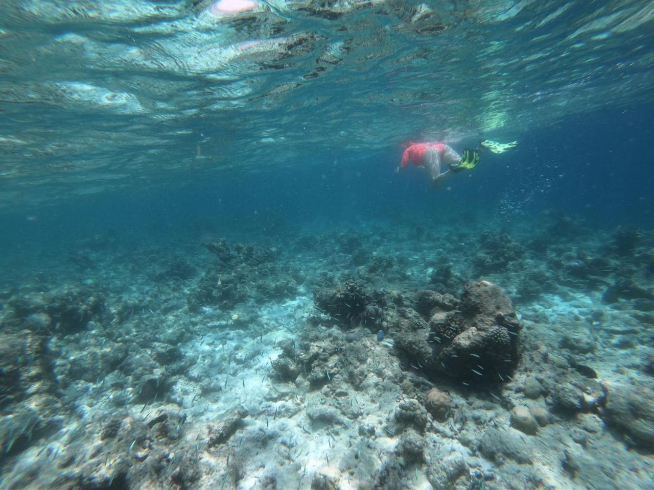 Feridhoo Sevinex Inn מראה חיצוני תמונה
